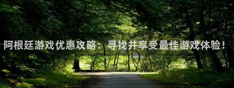 辉达娱乐平台负责人：阿根廷游戏优惠攻略：寻找并享受最佳游戏体