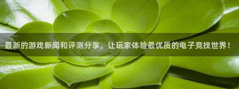 辉达娱乐在线登录：最新的游戏新闻和评测分享，让玩家体验最优质