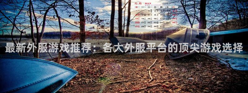 辉达娱乐什么意思：最新外服游戏推荐：各大外服平台的顶尖游戏选