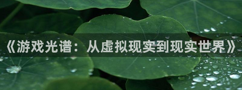 辉达娱乐代理登陆：《游戏光谱：从虚拟现实到现实世界》