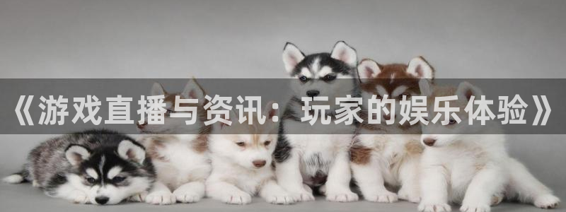 辉达娱乐平台官网客服电话：《游戏直播与资讯：玩家的娱乐体验》