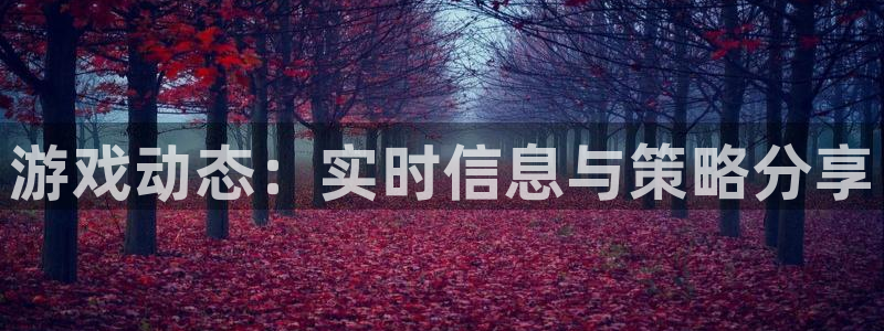 辉达娱乐注册官方登录app：游戏动态：实时信息与策略分享