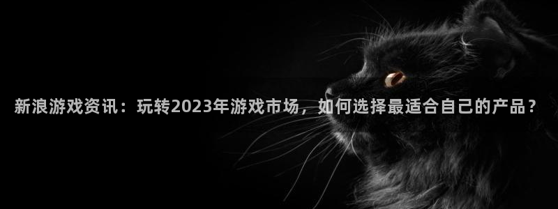 辉达娱乐平台负责人：新浪游戏资讯：玩转2023年游戏市场，如