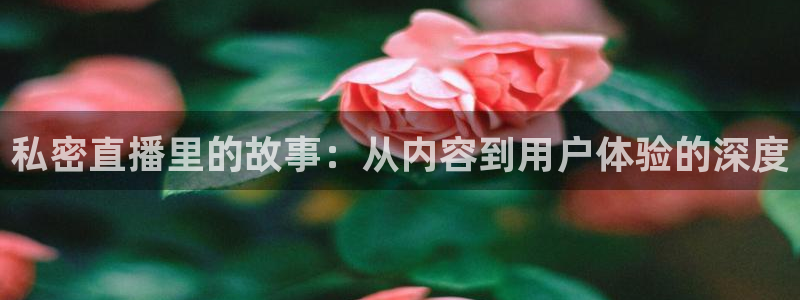 919体育：私密直播里的故事：从内容到用户体验的深度