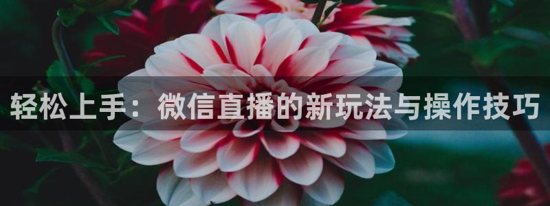 新闻图片