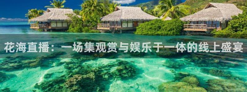 919体育直播平台在线观看：花海直播：一场集观赏与娱乐于一体的线上盛宴