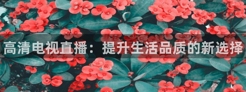 919体育直播在线观看：高清电视直播：提升生活品质的新选择