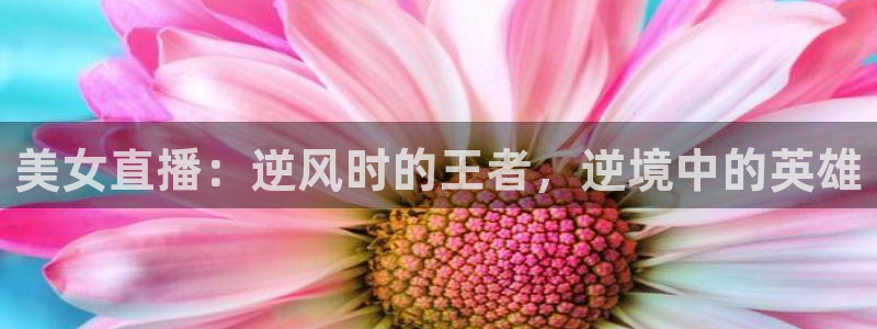 919看足球直播：美女直播：逆风时的王者，逆境中的英雄
