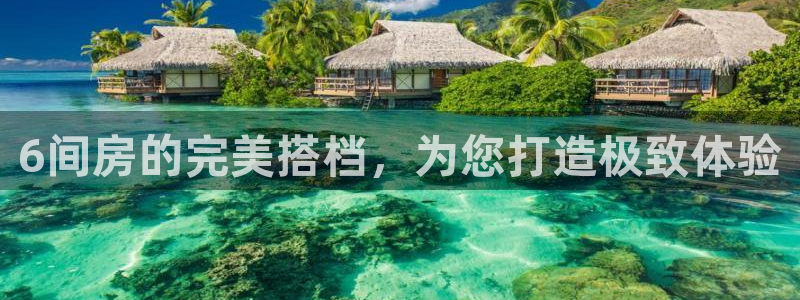 919球赛直播：6间房的完美搭档，为您打造极致体验