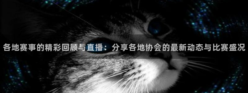 足球直播919：各地赛事的精彩回顾与直播：分享各地协会的最新动态与比赛盛况